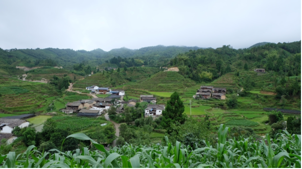 传统村落巡礼(三十二)——龙陵县象达乡棠梨坪中寨,碧溪梯田碾米人