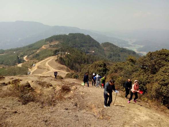 mmexport1488874431146